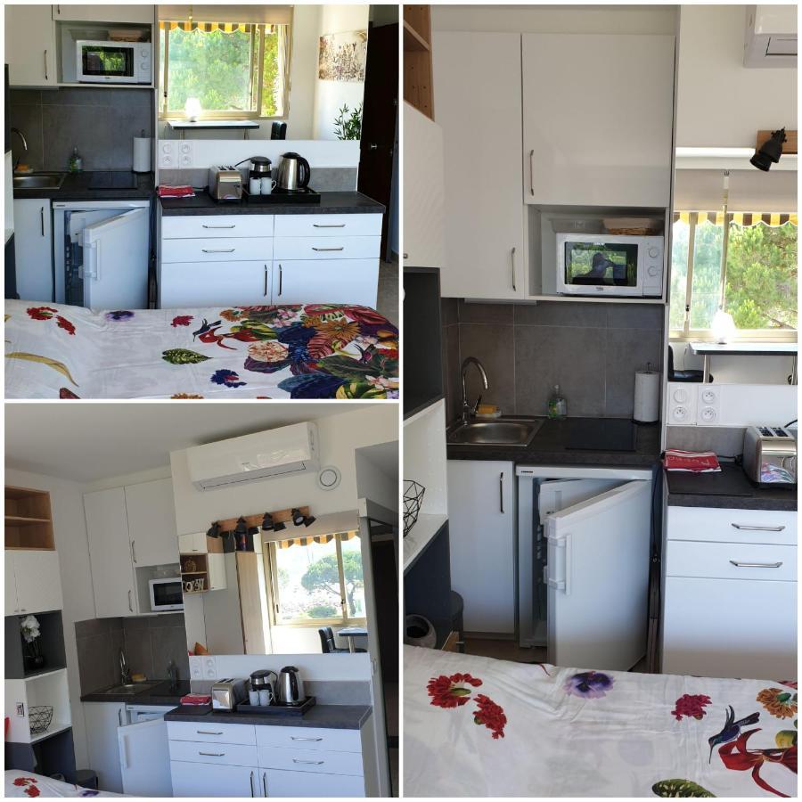 Garden And Beach Sea View Apartment Cannes ماندوليو لا نابول المظهر الخارجي الصورة
